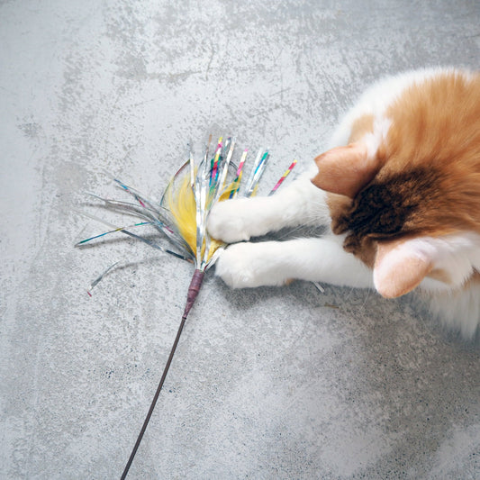 Sparkling Kitty Duster