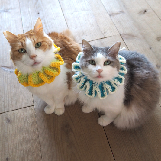 Paracord & Knit Collar🌼