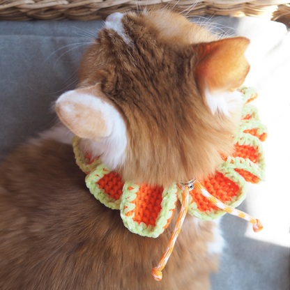 Paracord & Knit Collar🌼