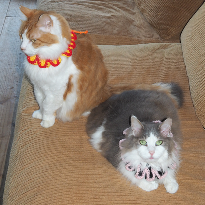 Paracord & Knit Collar🌼