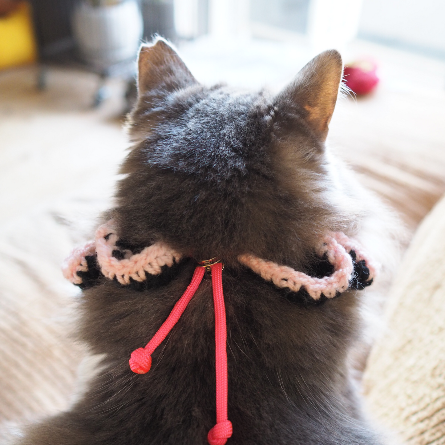 Paracord & Knit Collar🌼