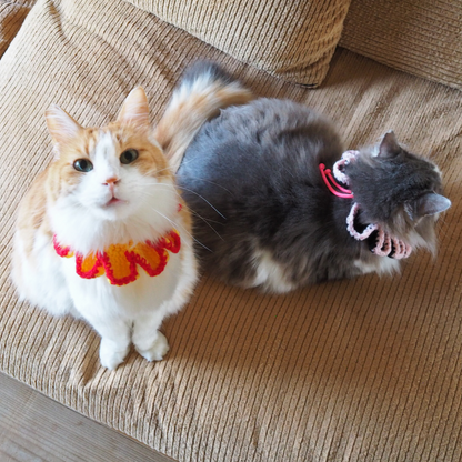 Paracord & Knit Collar🌼