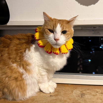 Paracord & Knit Collar🌼
