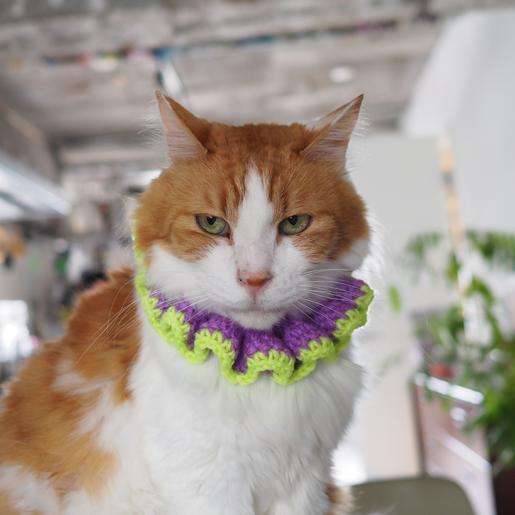 Paracord & Knit Collar🌼