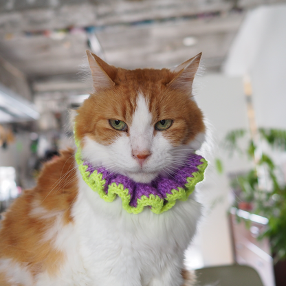 Paracord & Knit Collar🌼