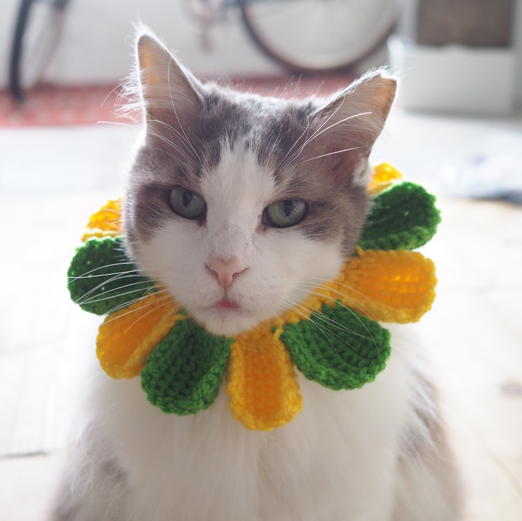 Paracord & Knit Collar🌼