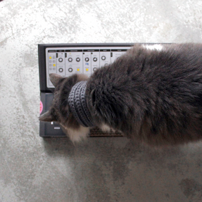 Cat Synth Scratcher