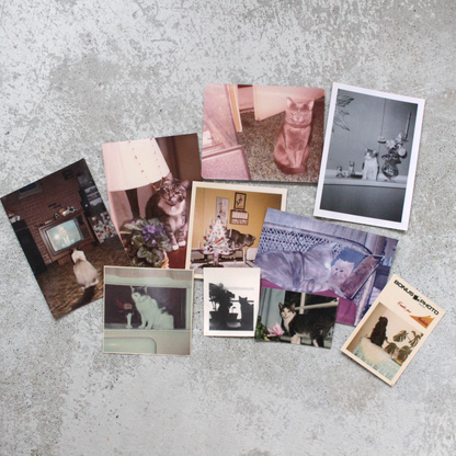 Photo Card Set #2