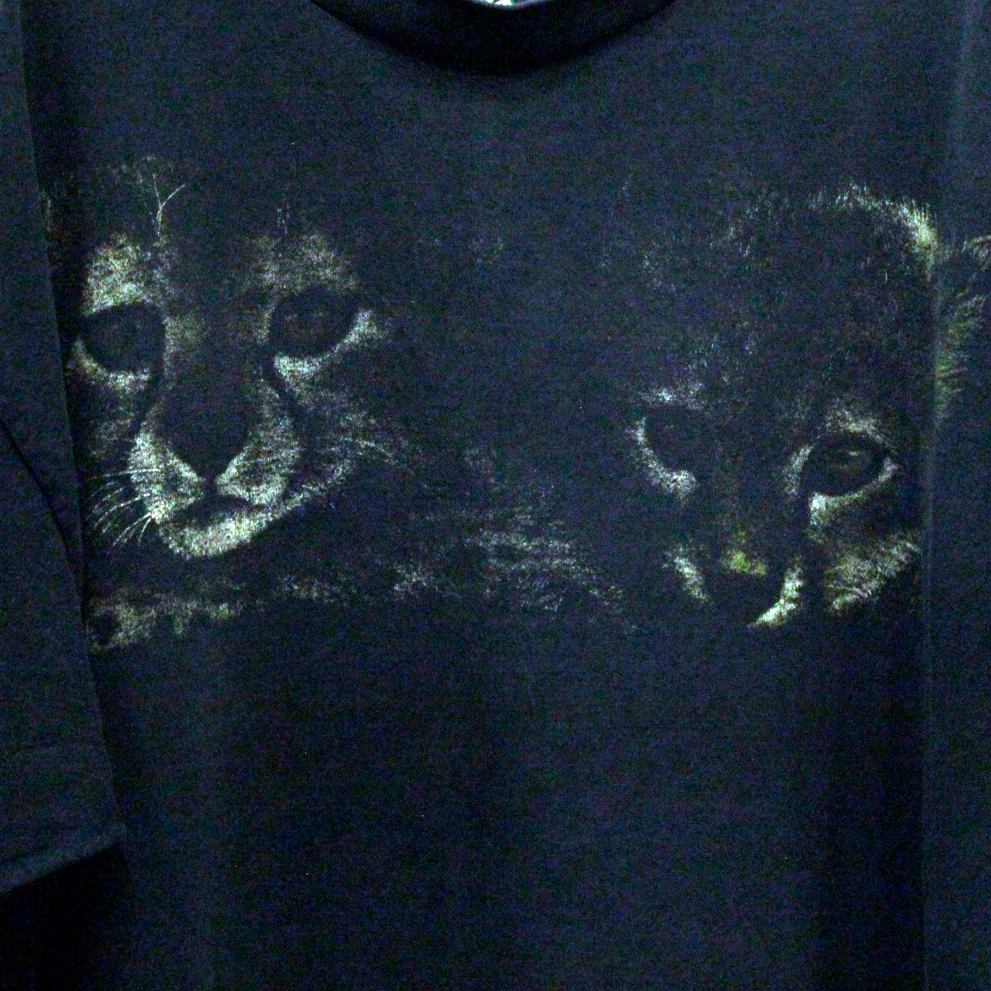 Baby Tiger Twins Tee / 90s / Made in USA