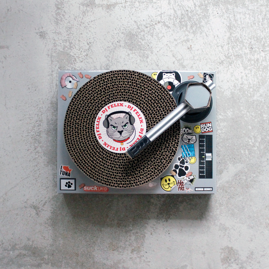 Cat DJ Scratching Deck