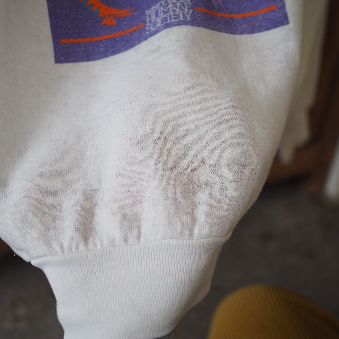 Cats & Dogs Human Society Sweatshirt / 80s / Made in USA