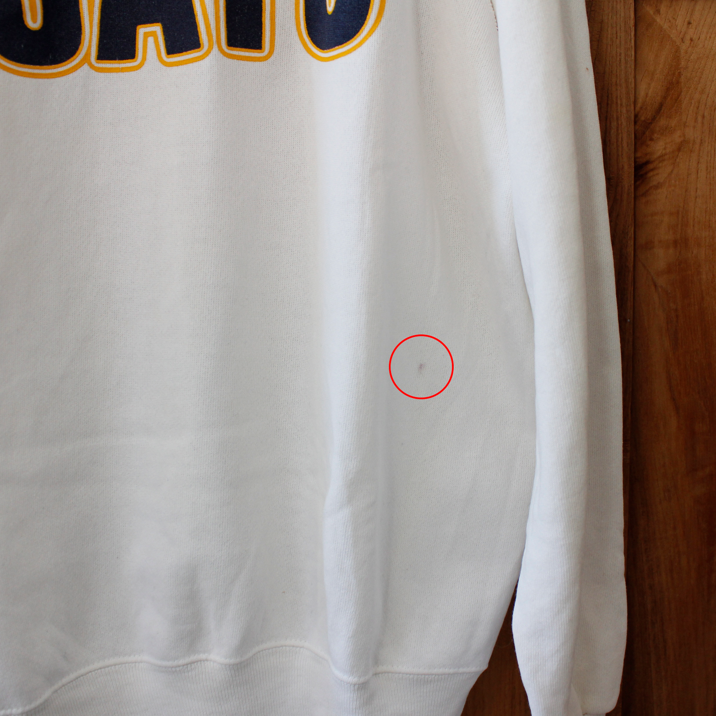 WILD CATS SOUTH Sweat / 80s / Made in USA