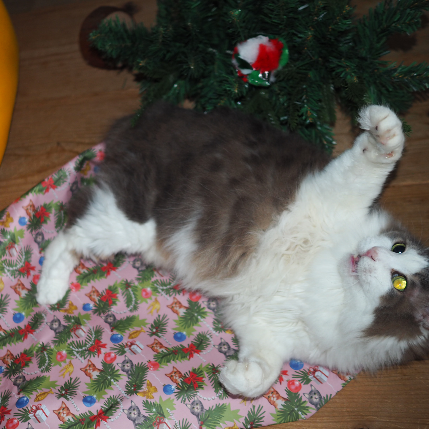 Wrapping Paper Toy '25 Xmas / ラッピングサービス