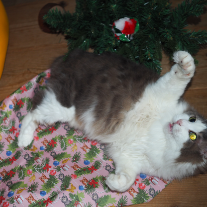 Wrapping Paper Toy '25 Xmas / ラッピングサービス