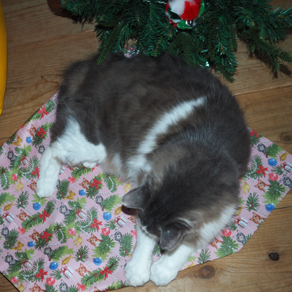 Wrapping Paper Toy '25 Xmas / ラッピングサービス