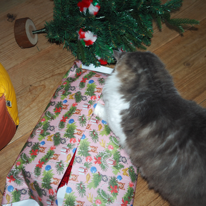 Wrapping Paper Toy '25 Xmas / ラッピングサービス