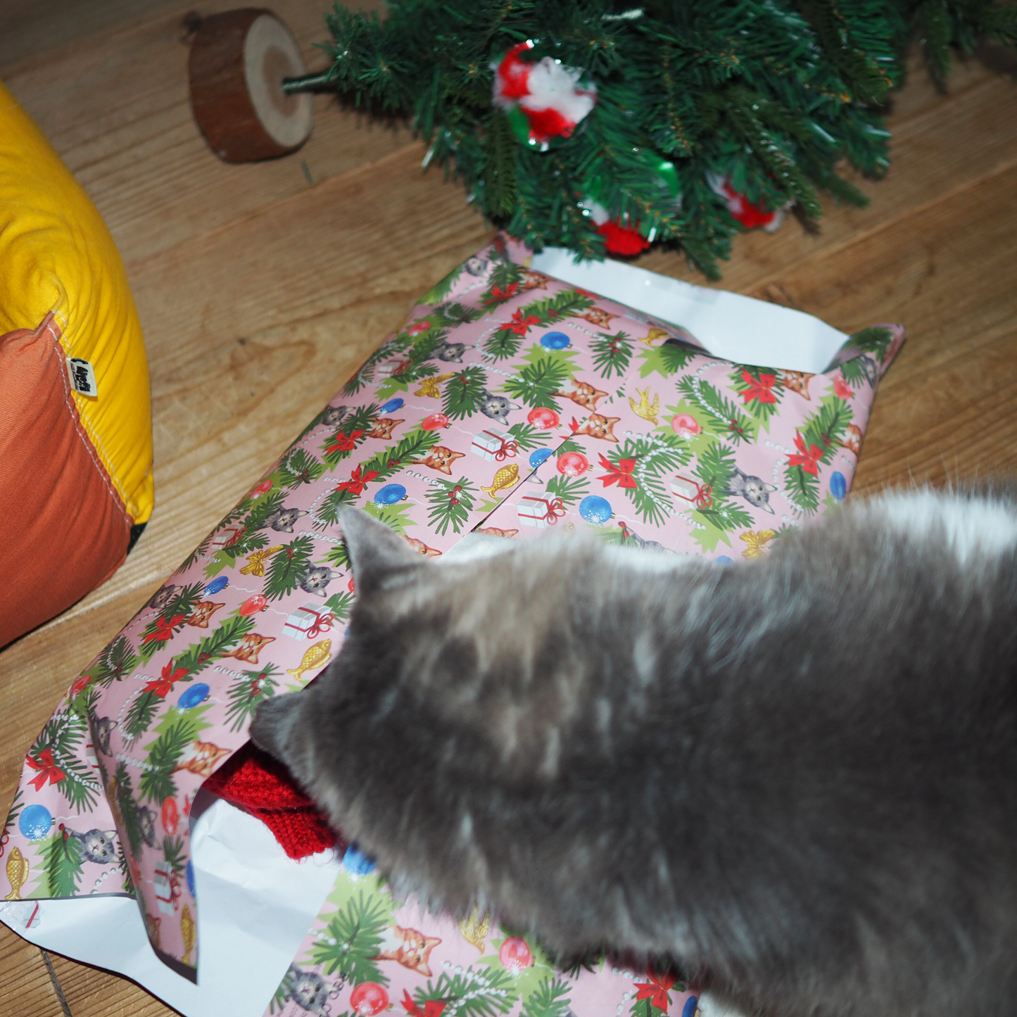 Wrapping Paper Toy '25 Xmas / ラッピングサービス