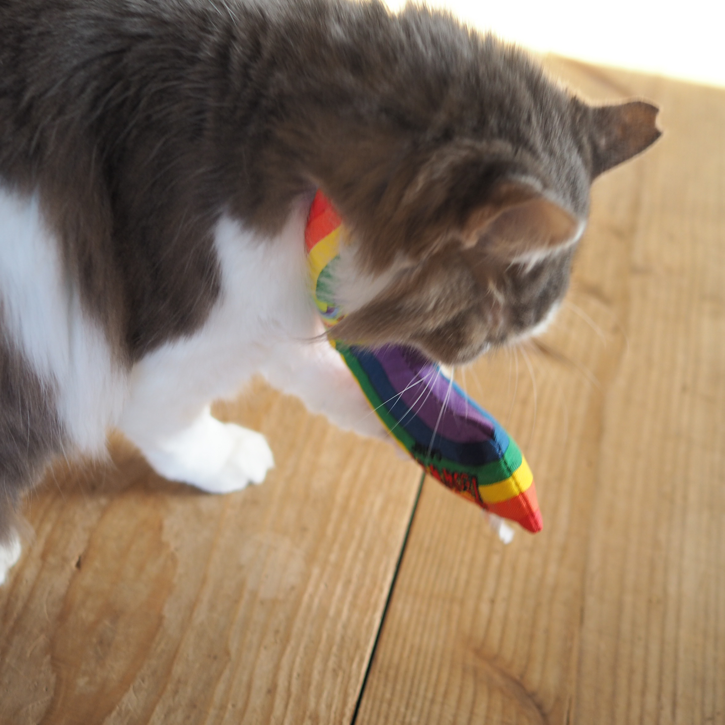 Rainbow