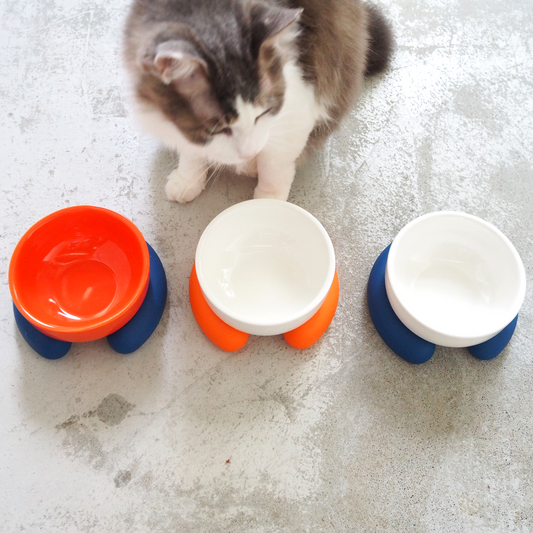 Ceramic Silicone Cat Bowl