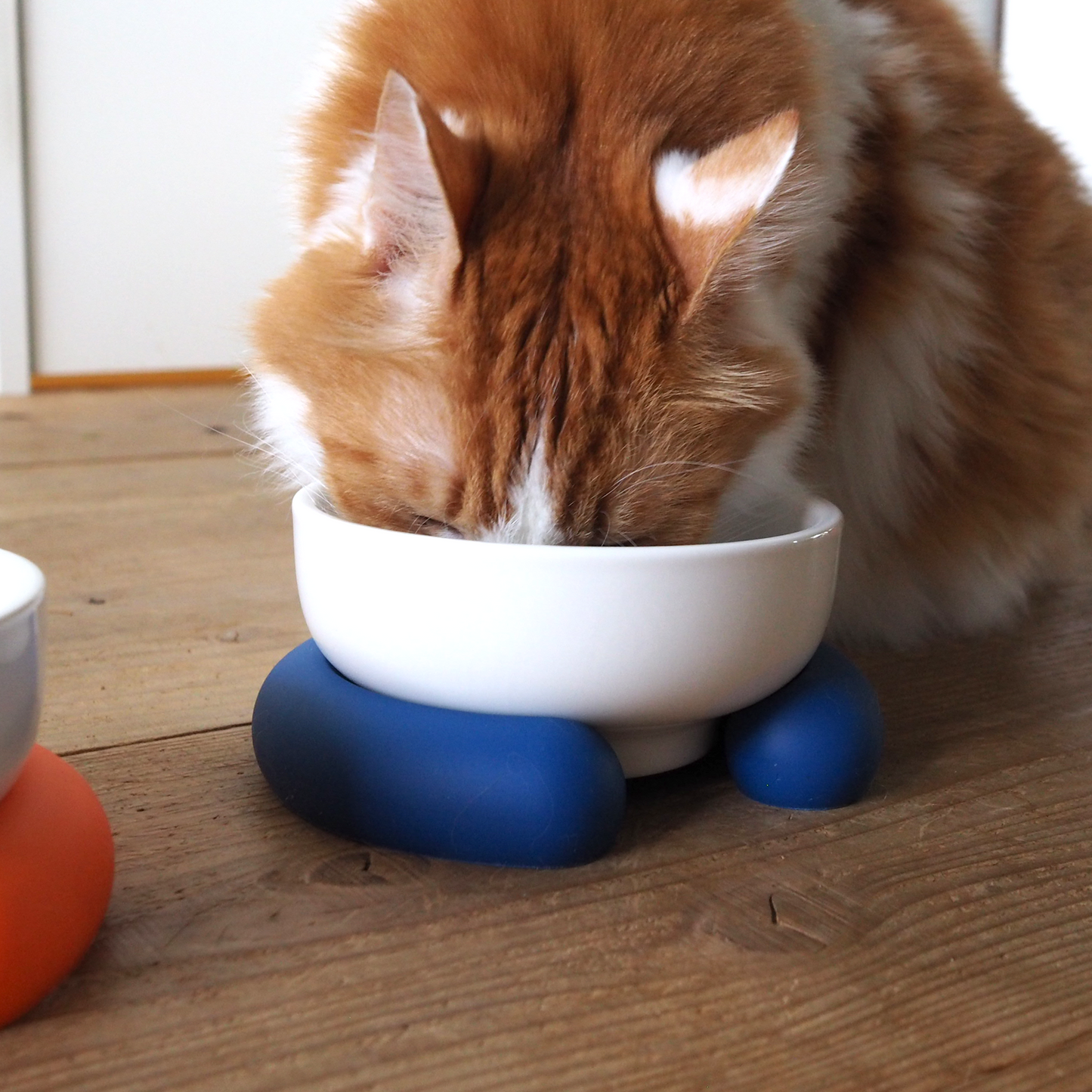 Ceramic Silicone Cat Bowl