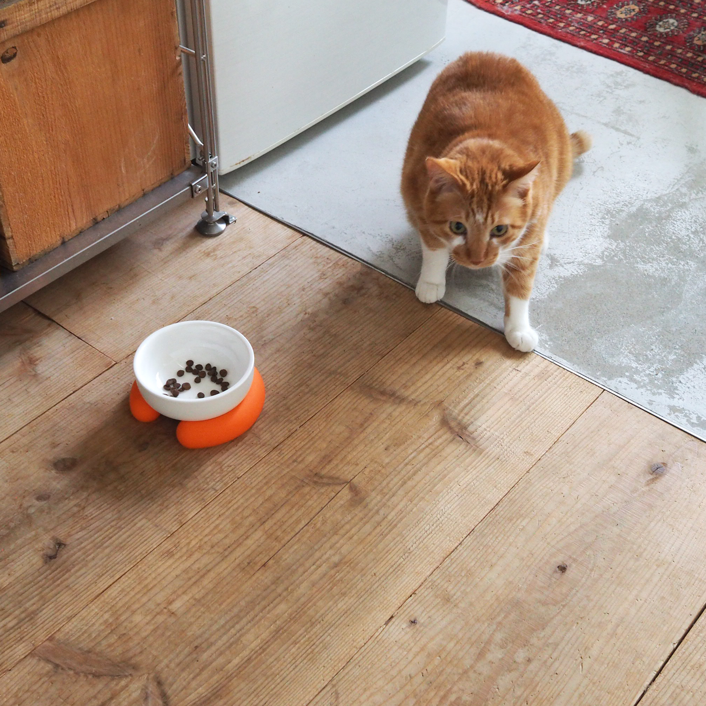 Ceramic Silicone Cat Bowl